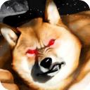 肌肉柴犬正版