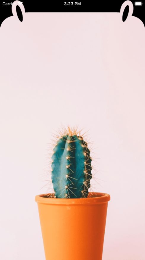 Notch刘海壁纸  V 1.0