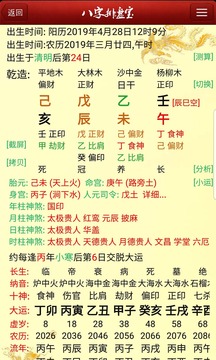 易奇八字排盘截图2