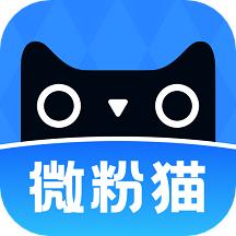 微粉猫