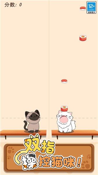 猫咪二重奏中文版截图0