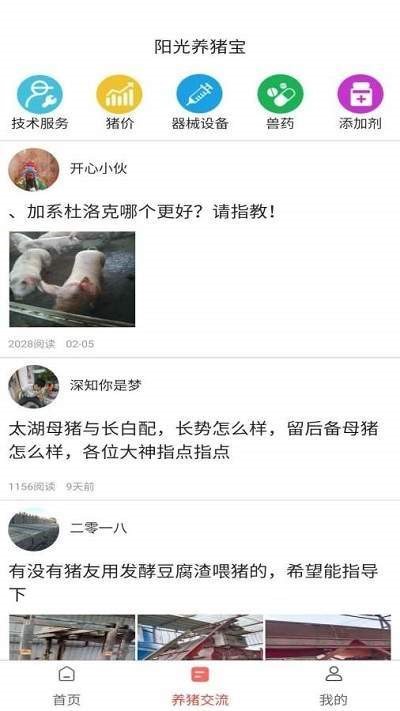 阳光养猪宝截图0