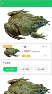 晓能批发
