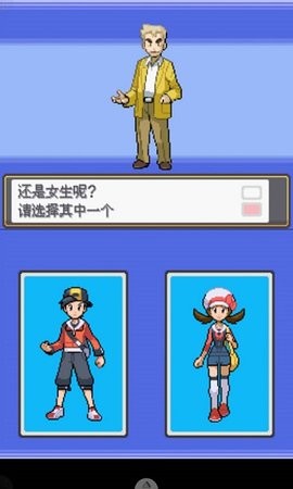 口袋妖怪黑白2截图1
