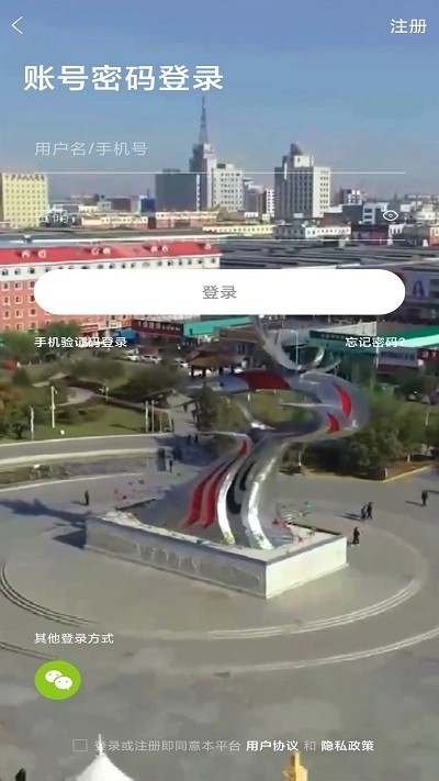 二丫网截图1