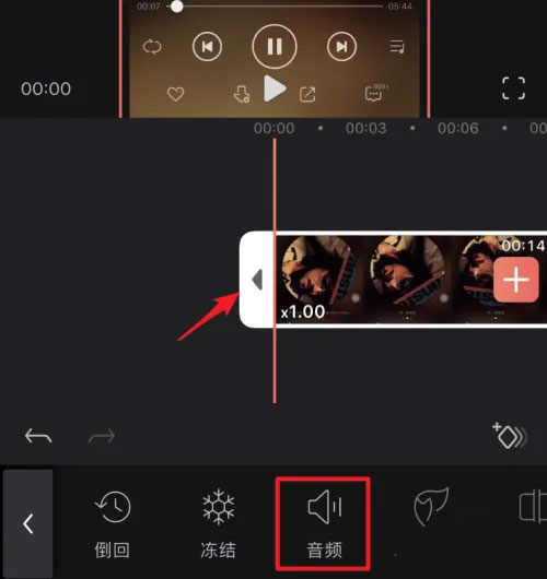 Videoleap专业版