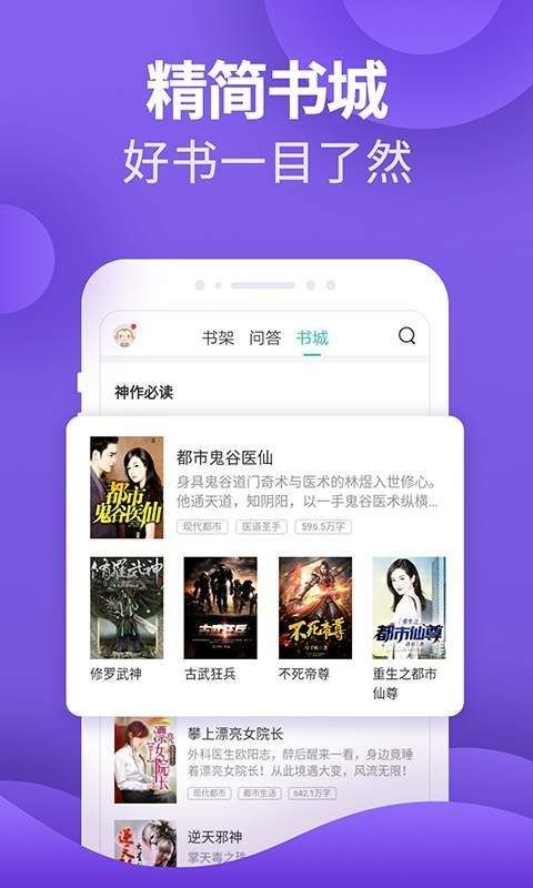 皮皮书