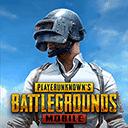 和平精英国际服(PUBGMOBILE)