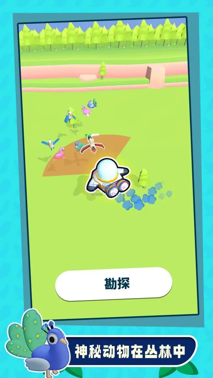 捕鸟大师游戏