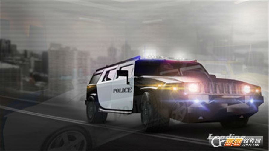 美国警察货运公司