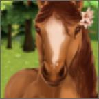 HorseHotel(照顾马儿们)