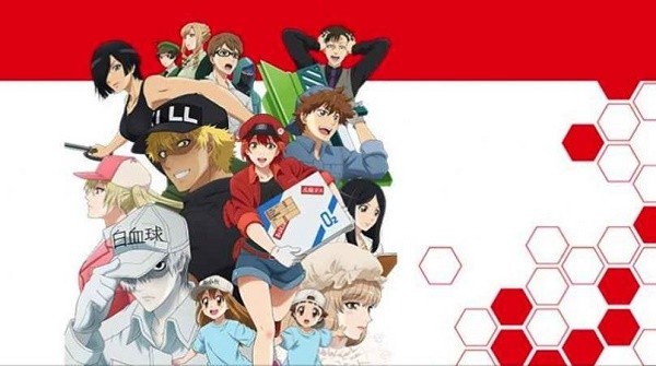 工作细胞第二季 2024-06-25 15:08