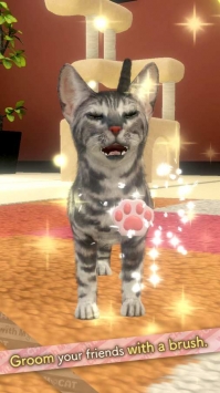 和我的猫在一起截图0