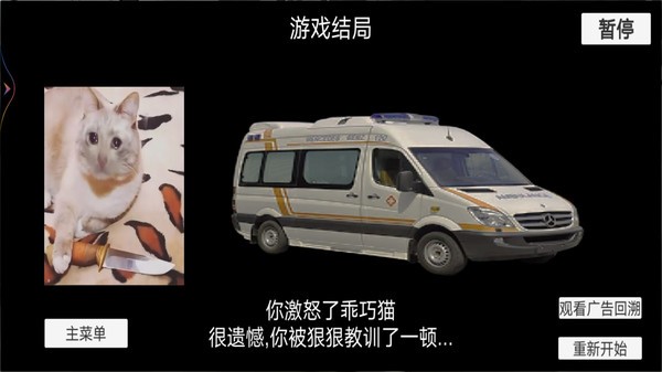 猫猫惊魂夜截图2