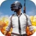 pubg mobile lite轻量版