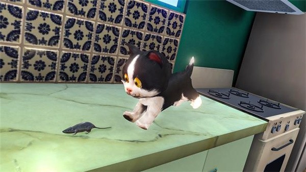 猫与女佣2截图2