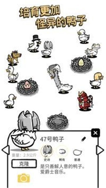 蛋里是什么鸭截图1