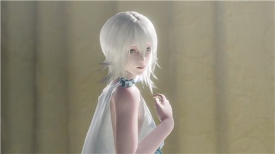 尼尔人工生命升级版 2024-06-25 15:08