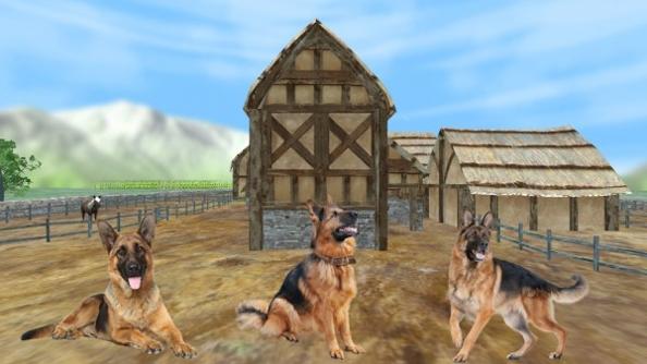 牧羊犬动物3D.jpg