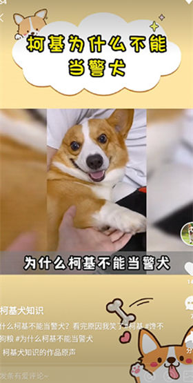 噗叽