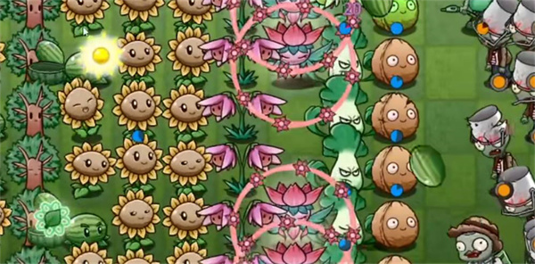 pvzbw