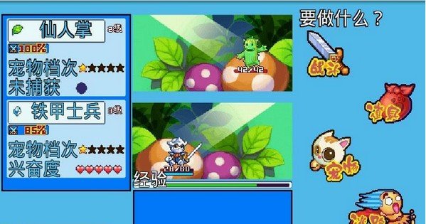 口袋宝贝5彩虹 版本：v2.0附功略