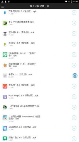 辉少团队软件分享截图1