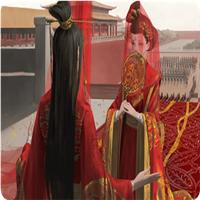 太后秘史手机版