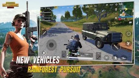 pubg小橘子