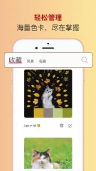 色采软件截图2