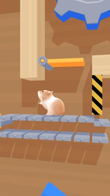Hamster Maze截图1