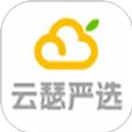 云瑟严选软件官方版 