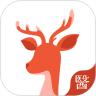 小鹿医生版