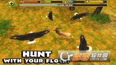 猎鹰模拟游戏 v1.0 安卓版