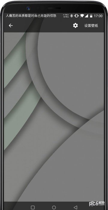 变色龙动态壁纸软件 版本：v1.6