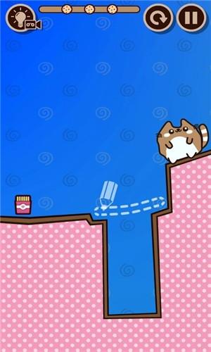 果冻猫截图1