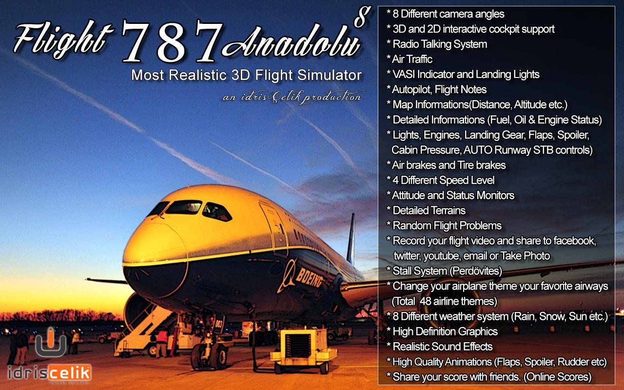 模拟飞行787截图1