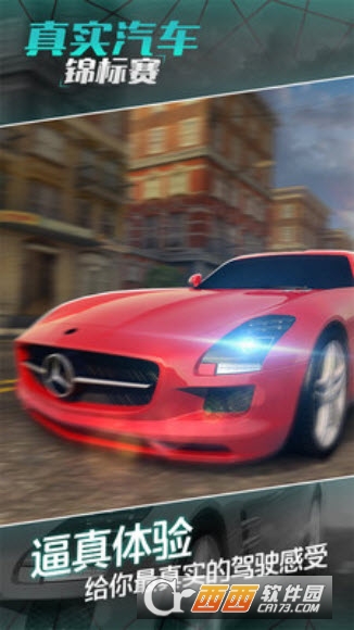真实汽车锦标赛 v1.0.1安卓版