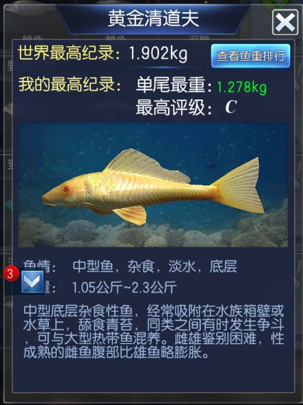 钓鱼大咖王者之战