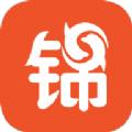 锦书小说