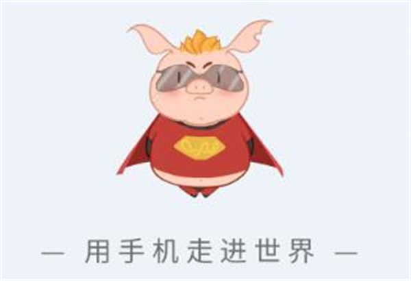 猪悠悠浏览器