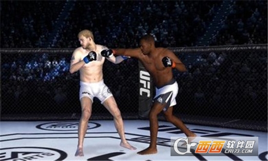 UFC终极斗士