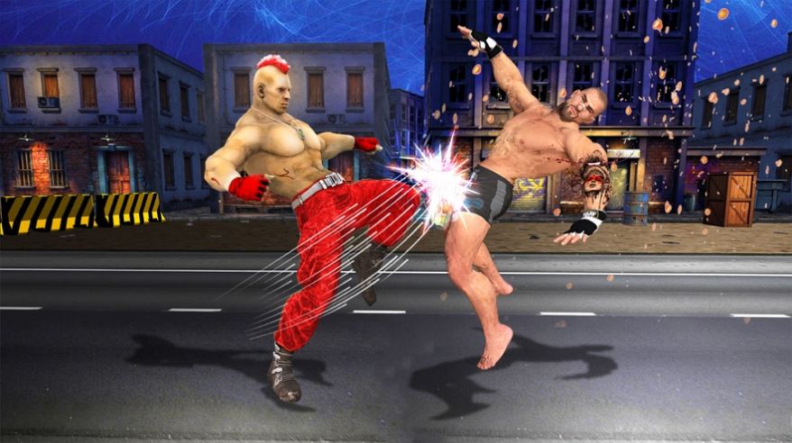 忍者力量空手道格斗  V 1.0