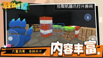 砖块迷窟截图2