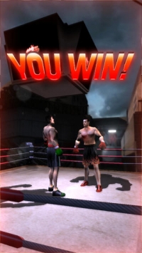 铁拳 IronFistBoxingLite v3.1.5