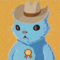 kokocat数藏