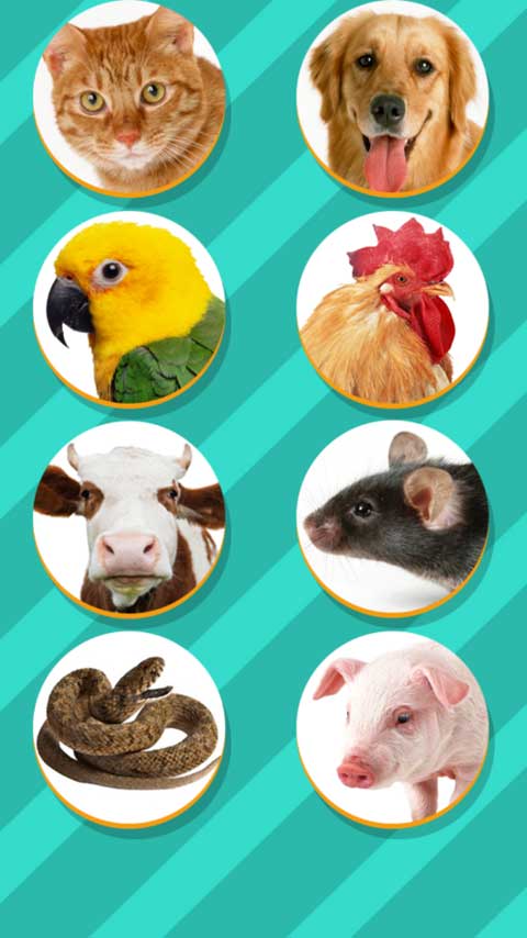 Pet Translator截图1
