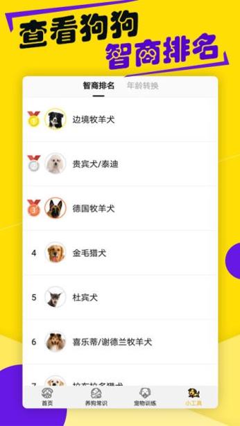 狗语翻译器截图2