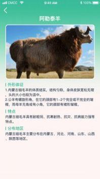 养羊指南截图0