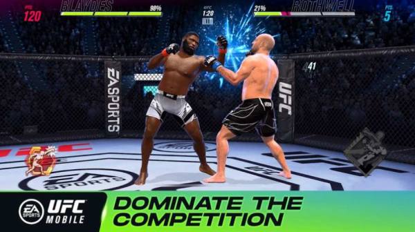 UFC终极格斗冠军2截图0
